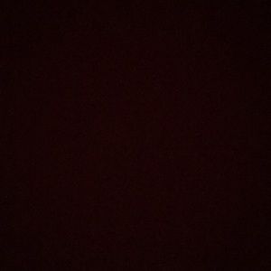 Meet your Posher, Riley